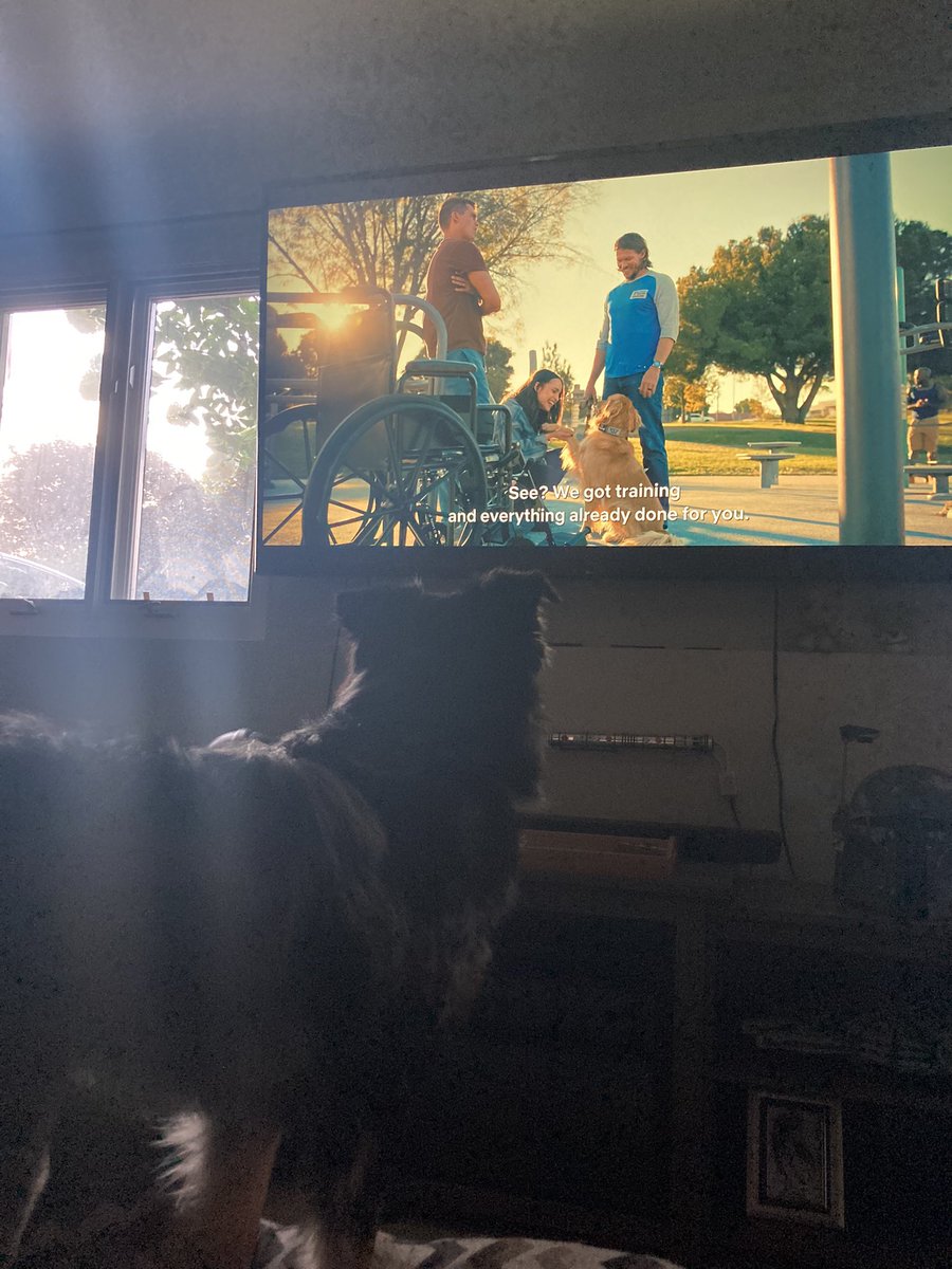erso_19's tweet photo. @SofiaCarson Kanan loves peaches 💜 and #PurpleHearts  @nickgalitzine https://t.co/h6toWbuLxr