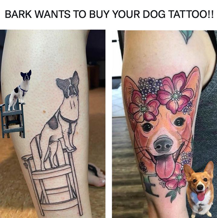 barkbox-on-twitter-in-honor-of-national-dog-day-we-want-to-pay-for