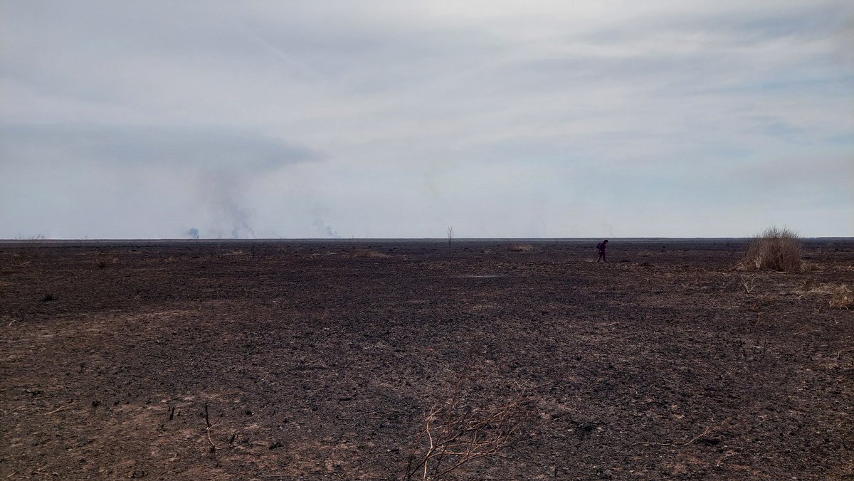 De un lado había una selva, del otro, un humedal. Hoy son dos postales de Brasil y Argentina que muestran lo mismo: el agronegocio es el fin del mundo (phs: <a href="/Diogotapuio/">Diogo Cabral</a> y <a href="/CesarMassi/">Cesar Massi</a>)