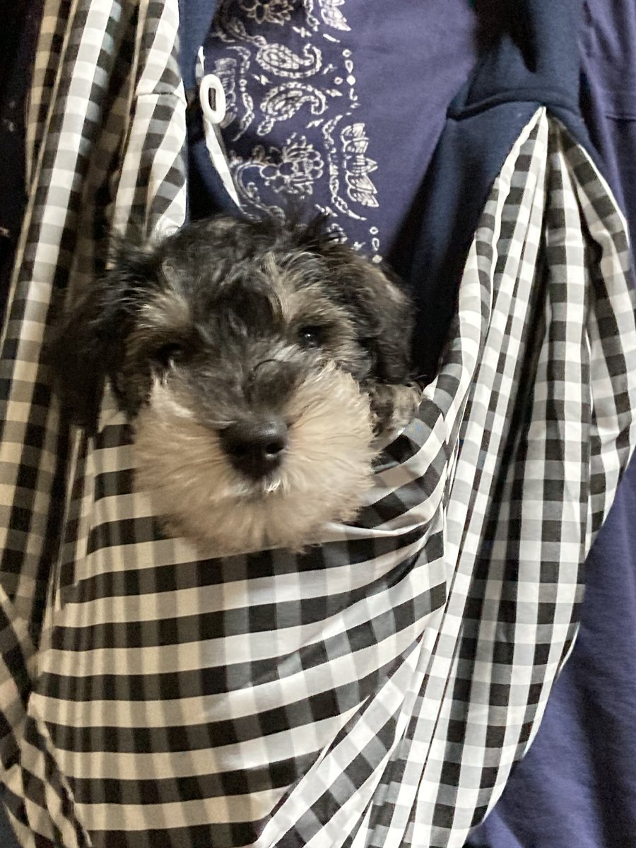 こまっち tweet media