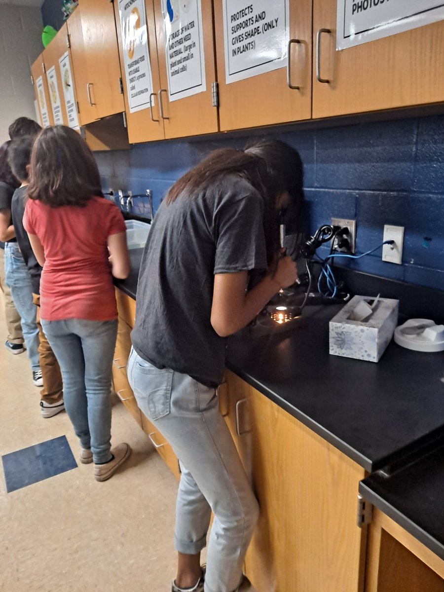 The new year is in full swing and so is hands on learning in science! Check out the 6th grade exploring force and motion and 7th grade exploring cell theory. @WMSLadyWrangler @BradHenze @ossurkc54 @WoodWranglers @NEISD_Science