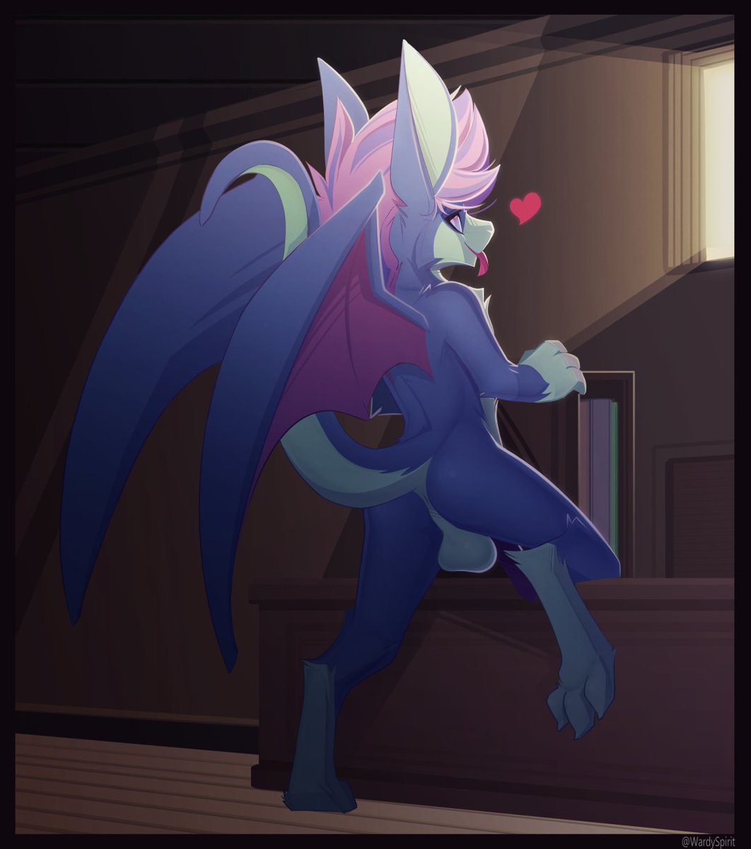 Blueberry the Nippy Nimbat 🔞 tweet media