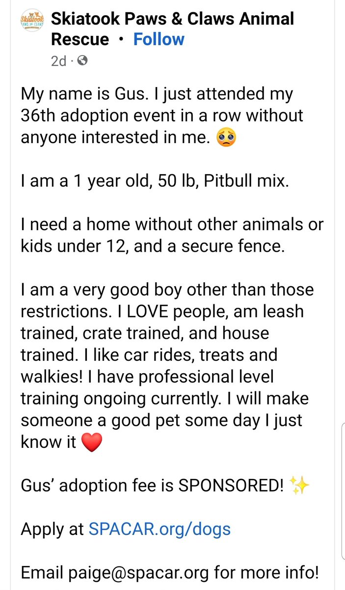 For Pitty's Sake (@for_pittys) on Twitter photo 