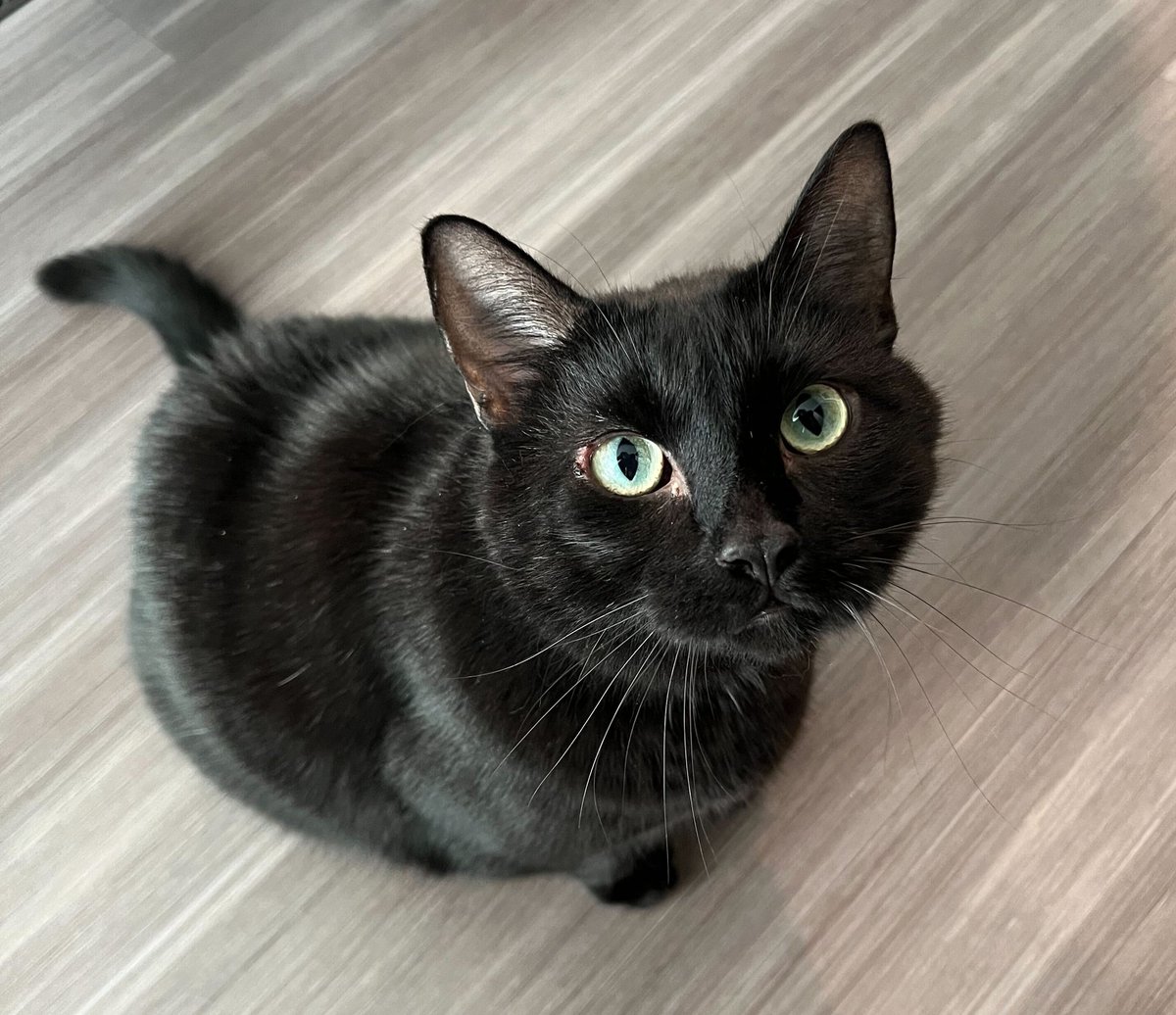 Steven Hudy  tweet media