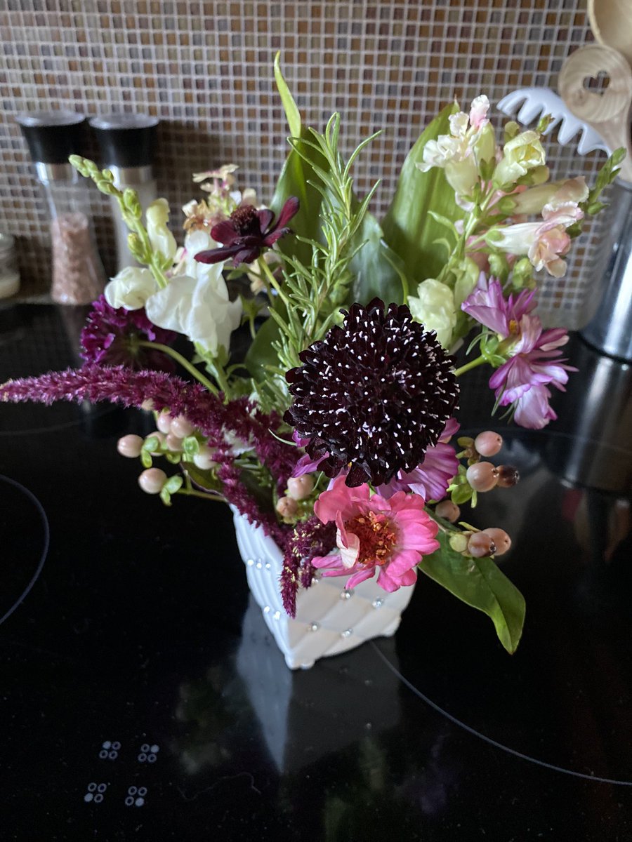 kathelburt's tweet photo. I need to travel Blenkinsop Road #Saanich more often!! I found Twyla’s Flower Farm and bought this little gem home with me. 💐🌸
#Flowers #JustBecause #IDeserveThem #SoDoYou https://t.co/Cu1Fq44Reb