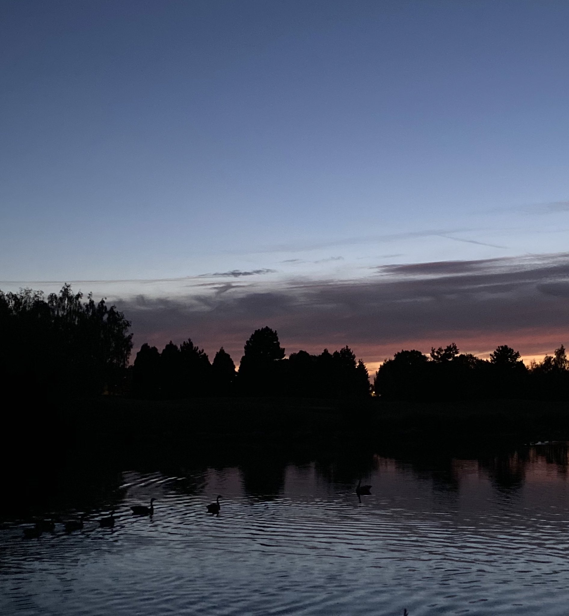 Lulu♡ on Twitter "Paris photo dump🇫🇷💗 https//t.co/zYMKp03VNu" / Twitter