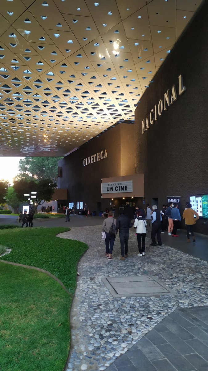 octavio tweet media