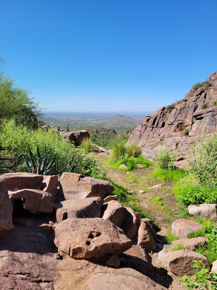 Dr. Chris Lensing (@clensing46) on Twitter photo 