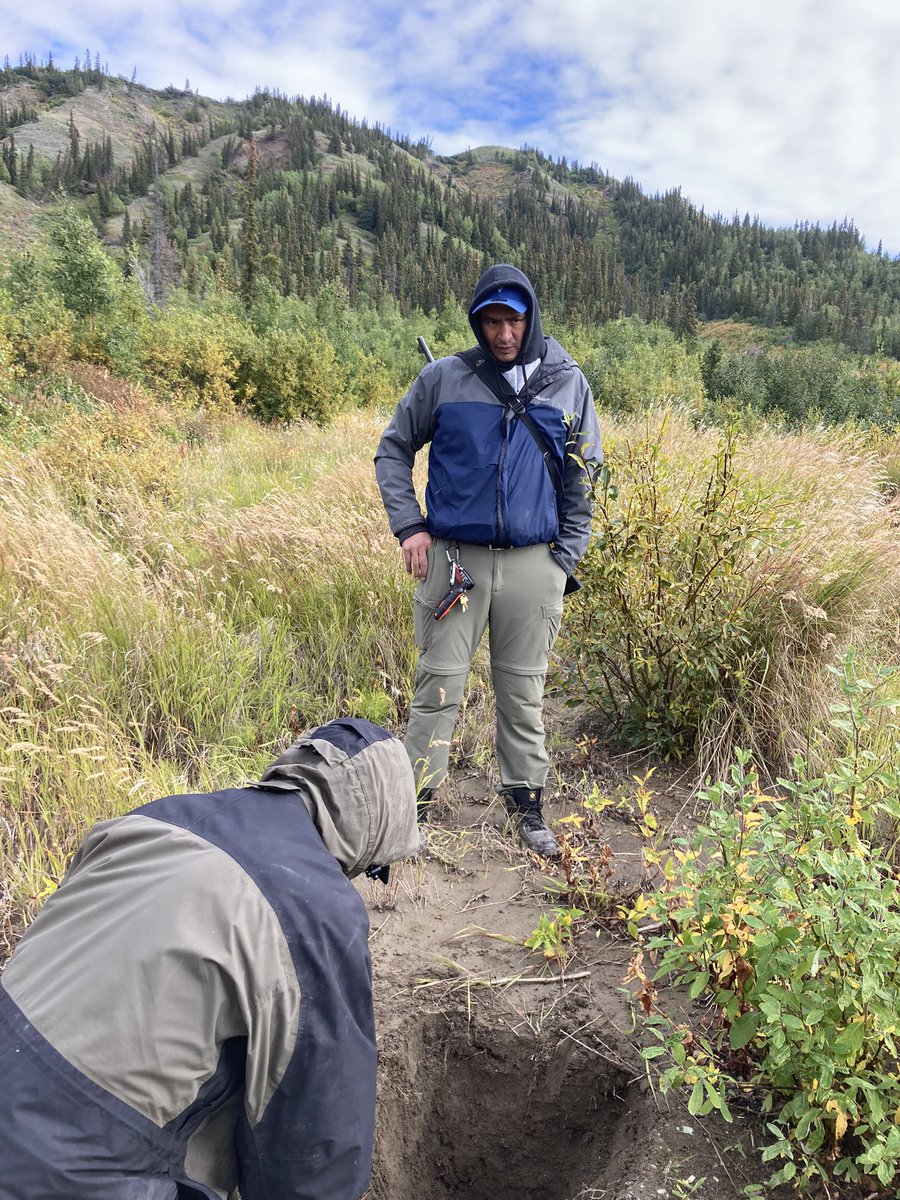 Prof Rhiannon Stevens (@nannonstevens) on Twitter photo Very happy to have our local guide and wildlife monitor Edwin Amos as part of the <a href="/palaeothaw/">Palaeothaw</a> team today especially when we saw a bear on the river banks close to our field site ๐ป I was too focused on the bear to take a photo! Very happy to have our local guide and wildlife monitor Edwin Amos as part of the <a href="/palaeothaw/">Palaeothaw</a> team today especially when we saw a bear on the river banks close to our field site ๐ป I was too focused on the bear to take a photo!