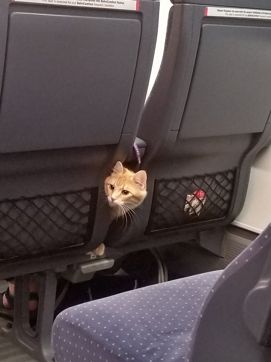 Hash_on_Train tweet media