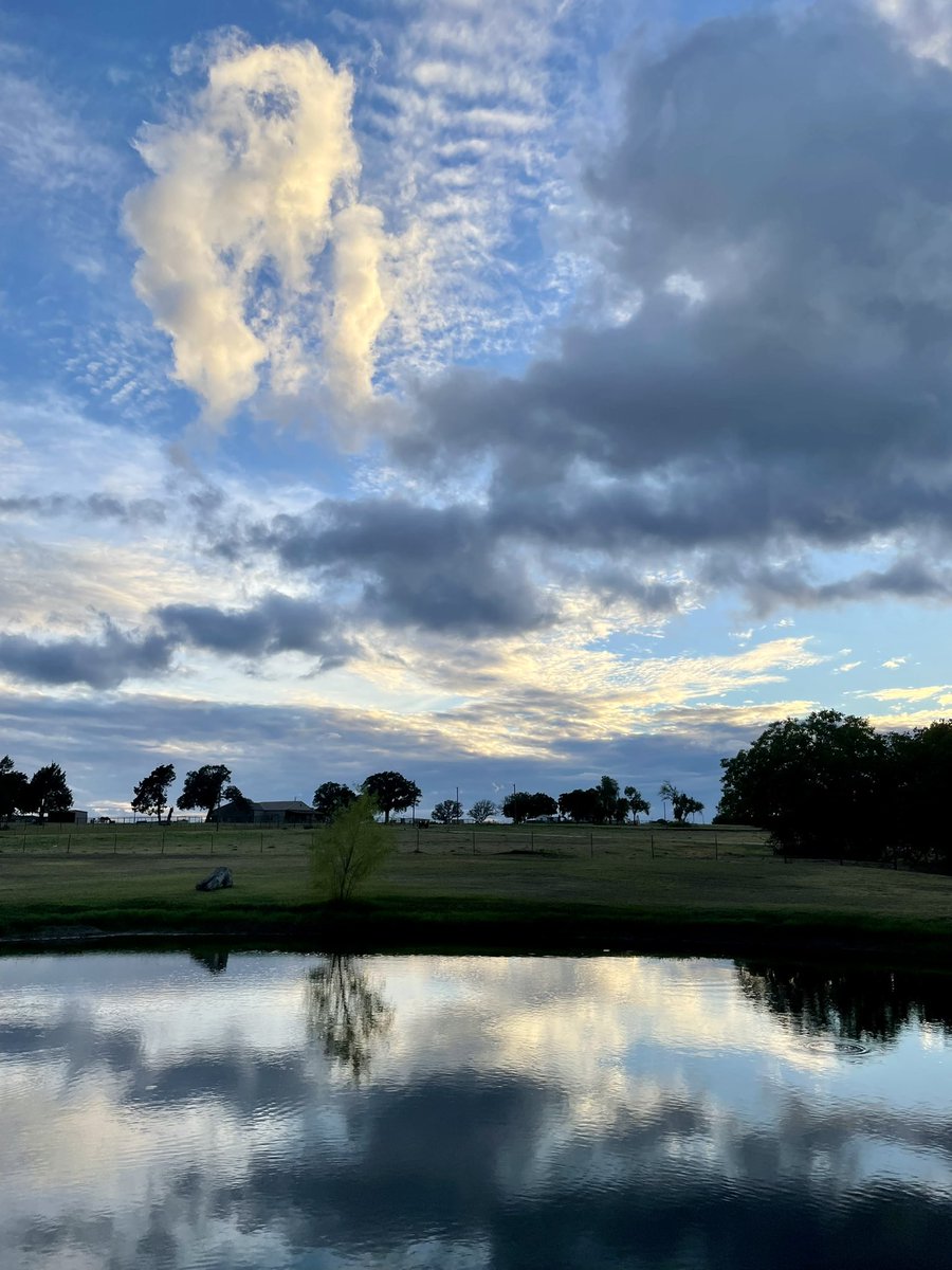 Mark from Dallas (@markfromdallas1) on Twitter photo 