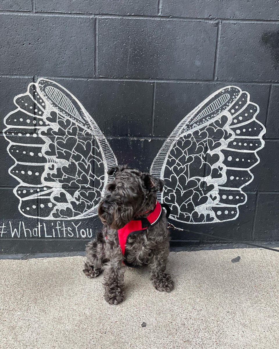 Maria Figueroa tweet media