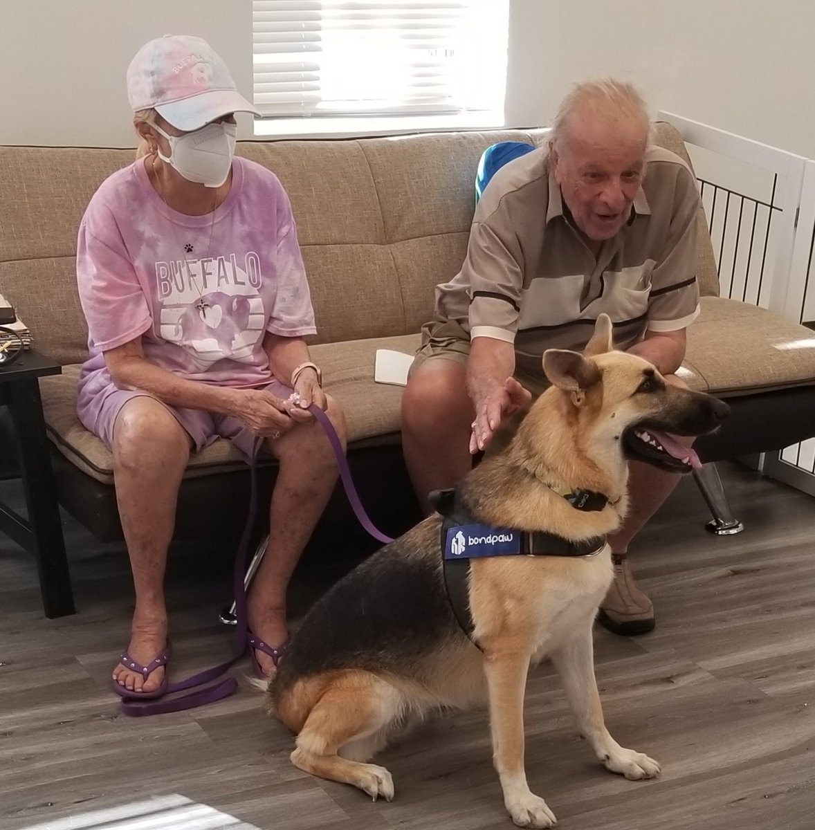 MarleyMud's tweet photo. 37 #RescueDogs on #RescueTransport over the weekend. Several #GermanShepherd  and #Chihuahua mixes this trip from #texas to the northeast. Glad these #furbabies found #foreverhomes. #AdoptDontShop https://t.co/uWuLHs6Hk4