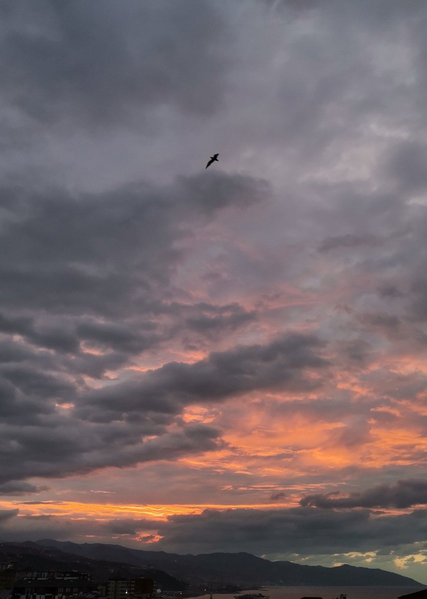 Anlık 🧡
🎶 Belki üstümüzden bir kuş geçer...