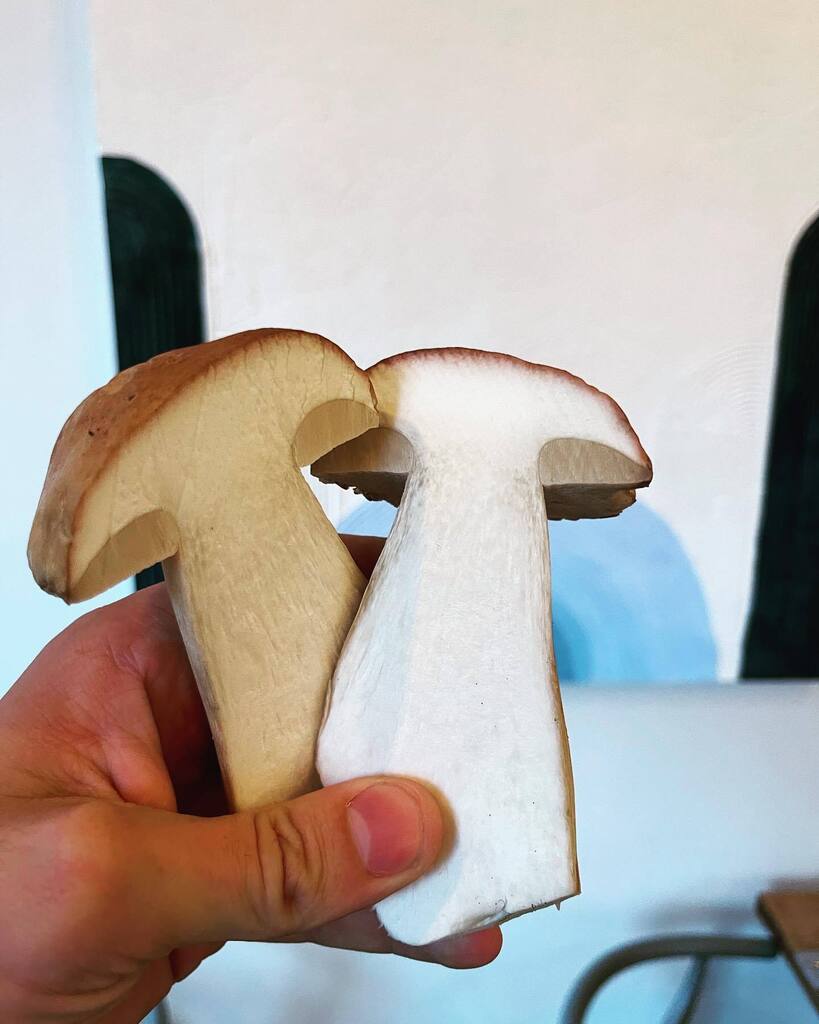 Dan_AshmoreChef's tweet photo. Chefs Christmas
My favourite (I know right, how original)
I was first introduced to the glorious Cep while working at the square, some of the best food to come out of that kitchen was in the autumn, and this mushroom was the heart of all my favourite garnishes
#chef #chefso… https://t.co/BNVcThFF22
