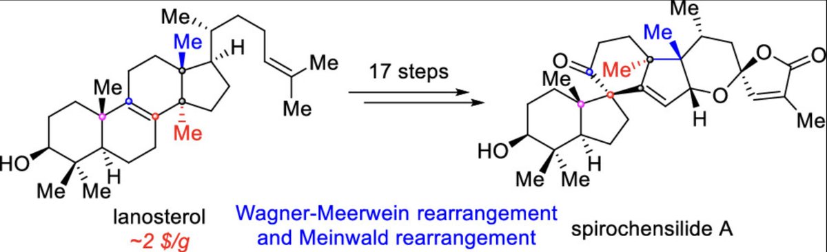 TotalSynthesis's tweet photo. #BioinspiredSynthesis of Spirochensilide A from Lanosterol by Xianwen Long, Jun Li, Feng Gao, Hai Wu, and Jun Deng at @NKU1919 in @J_A_C_S https://t.co/JCyYDblfTy https://t.co/wnb1R6xvje