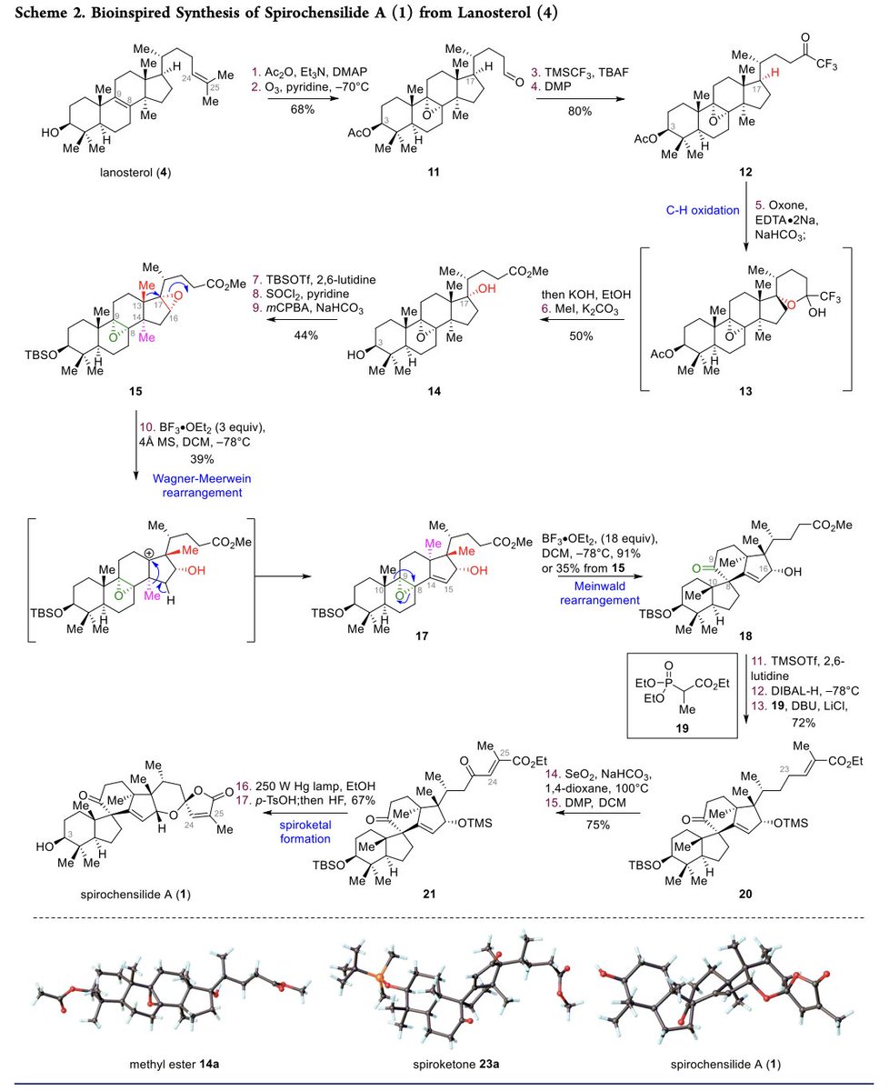 TotalSynthesis's tweet photo. #BioinspiredSynthesis of Spirochensilide A from Lanosterol by Xianwen Long, Jun Li, Feng Gao, Hai Wu, and Jun Deng at @NKU1919 in @J_A_C_S https://t.co/JCyYDblfTy https://t.co/wnb1R6xvje