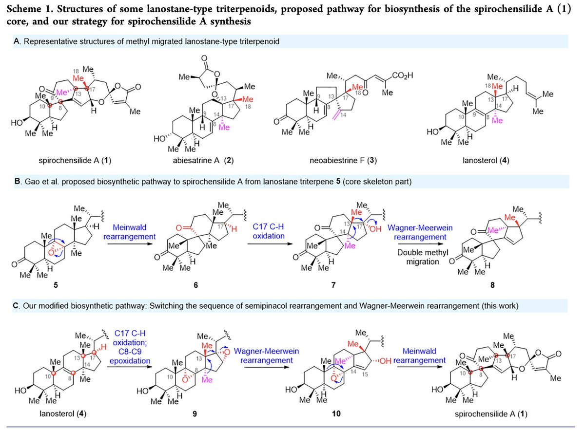 TotalSynthesis's tweet photo. #BioinspiredSynthesis of Spirochensilide A from Lanosterol by Xianwen Long, Jun Li, Feng Gao, Hai Wu, and Jun Deng at @NKU1919 in @J_A_C_S https://t.co/JCyYDblfTy https://t.co/wnb1R6xvje