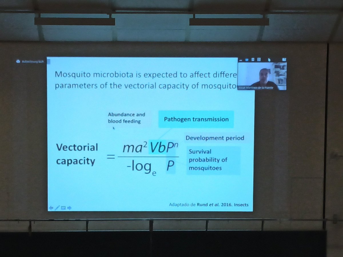Here we go with vector microbiome and parasite transmission <a href="/unibielefeld/">Bielefeld University</a> <a href="/HAEMConf22/">Wildlife Malaria Conference 2022</a> #Haem22 <a href="/JMartinezPuente/">Josué Martínez-de la Puente</a>