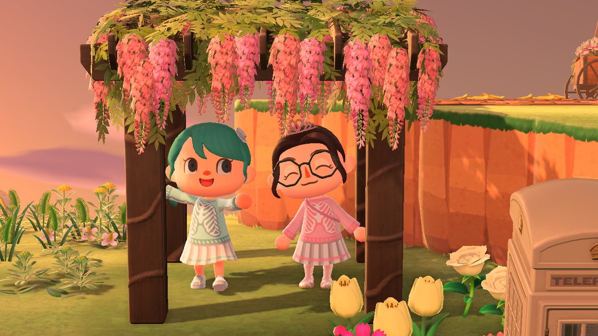 #AnimalCrossing #ACNH #NintendoSwitch