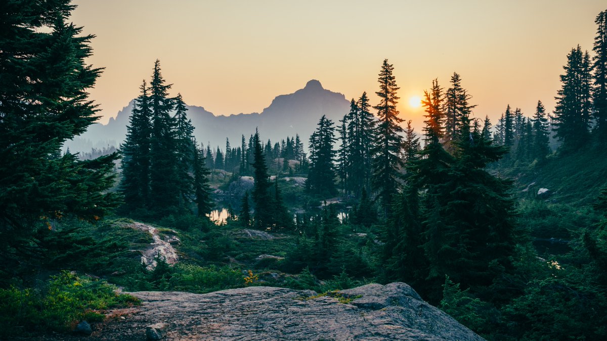 saplingsNFT's tweet photo. #Tree101 | 3οΈβ£ things you didn't know about trees! π³
Trees π³ are important on Earth
- So here are 3 things they do:
π¬οΈ Produce oxygen
π‘ποΈ Lower air temperature
π Act as sound barriers
Read our thread π§΅π
#SaveThePlanet #TreesMatter #NFTCommunity #NFTs #ReFi https://t.co/jTUxLd8M7N