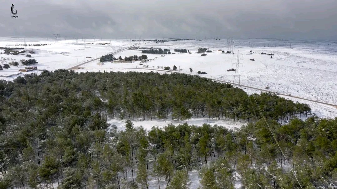 amalali56700894's tweet photo. غابة سي الحمري شتاء 2021 - 2022 ... ليبيا .. 🌨 https://t.co/sIo4npjPi4