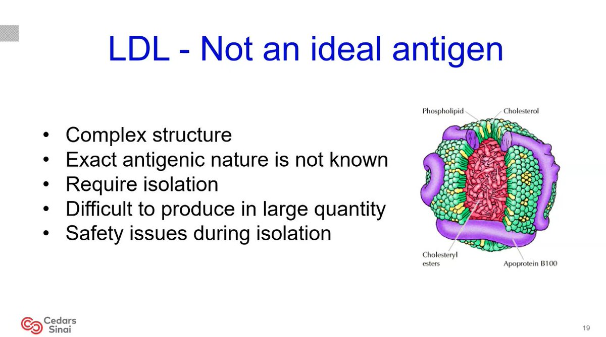 DrMarthaGulati's tweet photo. Dr Chyu @CedarsSinaiMed #Cardiology GR

Can we find a vaccine against atherosclerosis?
🫀But Lowering LDL is not enough
🫀Lymphocytes modulate atherosclerosis
🫀Lymphocyte response may be a target of tx
🫀Can we develop a vaccine? T-cell response✅
Ongoing trials @CedarsSinai https://t.co/Exj6O7N4zG