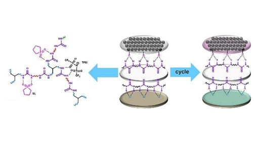 ChemSusChem's tweet photo. Abundant Hydrogen Bonds Formed in a Urea-Based Gel Polymer Electrolyte Improve Interfacial Stability in Lithium Metal #Batteries (Wang, Xue, and co-workers @HuazhongUST) #CSSC_OPEN_HUST https://t.co/y5LzU39Npb https://t.co/sl8wRgCb13