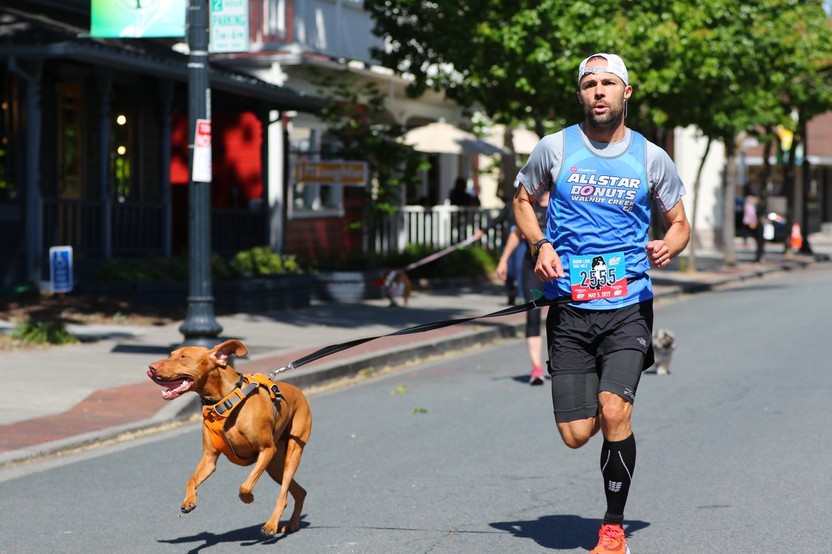 DevilMtnRun's tweet photo. Register Now. Time to Run Again. 🏃🏃🏃 - https://t.co/59UdcWDlnS https://t.co/4USQ7Fgqxm