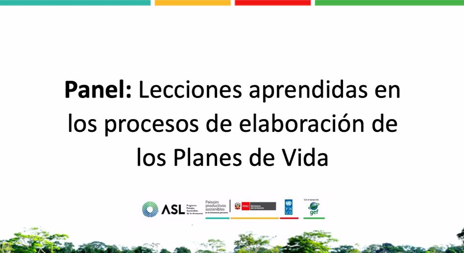 PID Amazonía tweet media
