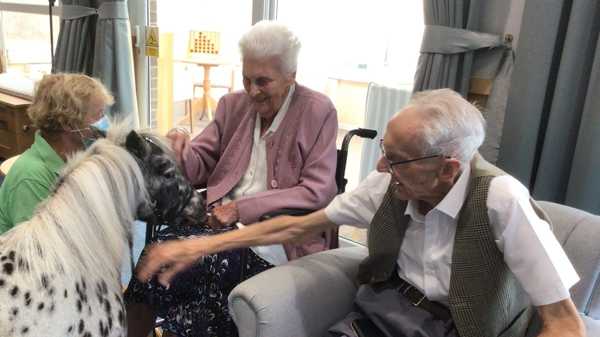 thermbi's tweet photo. There were smiles and joy amongst our residents at Connaught Court in #York when Taz, a beautiful, dappled brown and black American miniature horse arrived at the Home 🐴

👉 To read more, visit: https://t.co/NiAu5mT98g

#therapyhorse #miniaturehorse https://t.co/iFAZzG5tx2