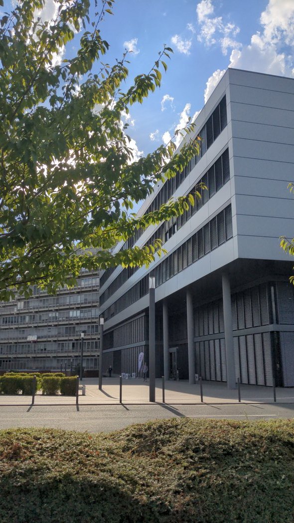 Diana Buecker tweet media