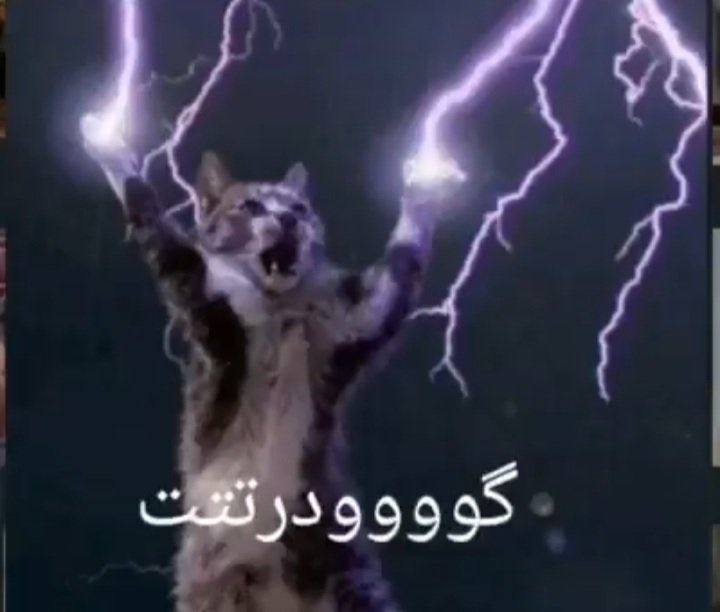 Originteeth's tweet photo. وقتی صبح زود پا می شی و احساس شادی و نشاط داری😅😁
کیا اینجورین https://t.co/LTf21uT9Ow