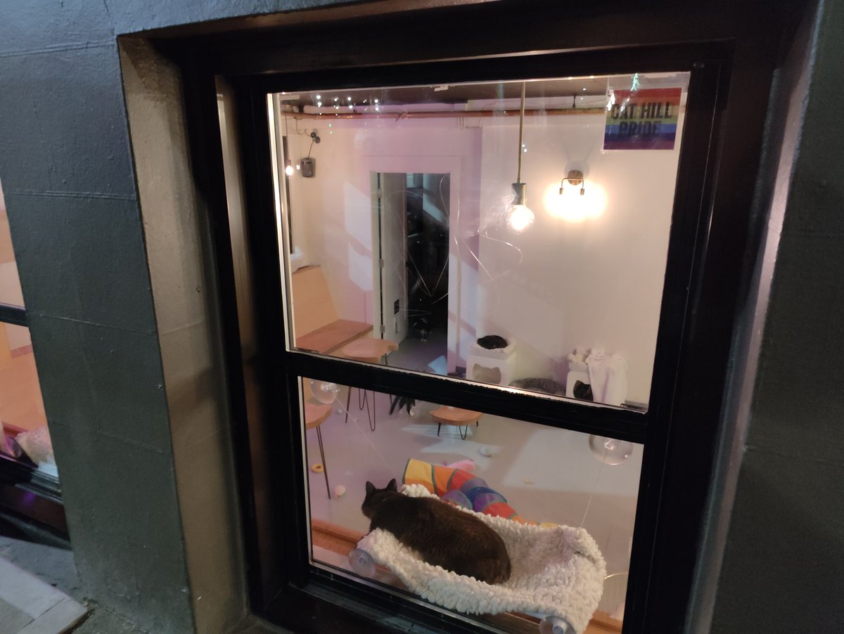 Level Zero tweet media