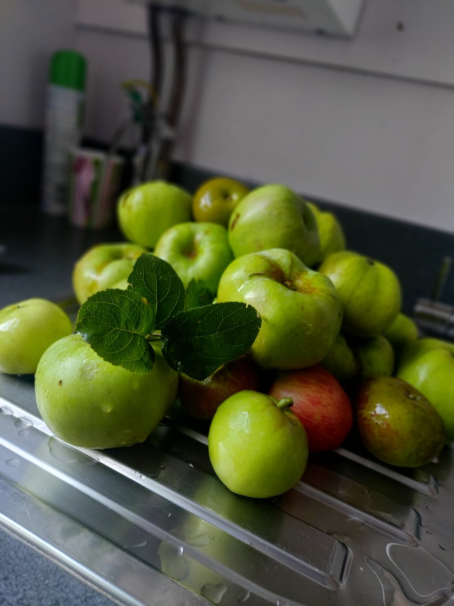 DandelionScot's tweet photo. Over 400 schools, from Uist to the borders are hosting a harvest, celebrating the culmination of the growing season with food which theyโve grown. Make sure to tag us in your pictures and hashtag #DandelionHarvest!
๐ธ @GroveEco @Heriotpssbc @torphichen_ps https://t.co/eIap1x9qpR