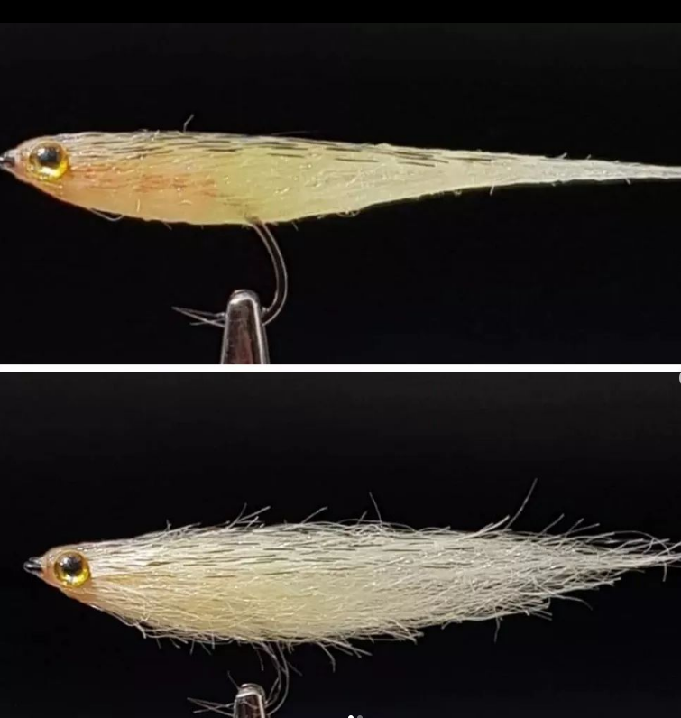 Saltwateronfly's tweet photo. Sleek
@lokeemilpetersen
STF pale yellow glaskutling... ret giftig i klart vand og solskin 🤫

#havørredfluer #flytying #fliegenbinden #havsöringsfiske #flugfiske #flyporn #keepemwet #fluefiskeri #saltwaterflyfishing #searunbrown #ahrexhooks #flyfishingonly https://t.co/UbeoMUP7tS
