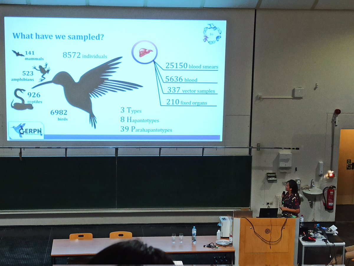 Incredible data collection and effort <a href="/HAEMConf22/">Wildlife Malaria Conference 2022</a> #Haem22 <a href="/NubiaMatta/">Nubia Matta</a>