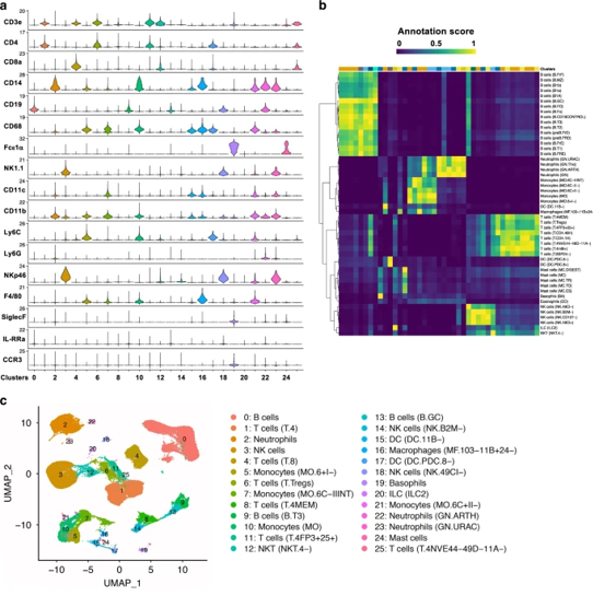 MucosalImmunol's tweet photo. #SinglecellRNA analysis reveals Creb5 and CD11b-DCs as regulators of #asthma exacerbations: https://t.co/MctvBAccz2 https://t.co/Qp7A7ZbQNq