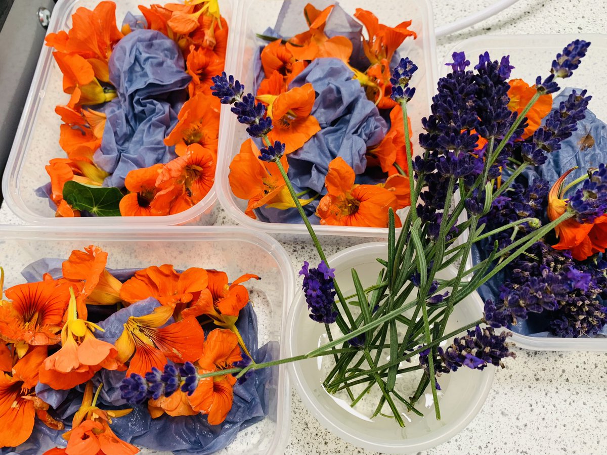 What a bumper crop of nasturtium and lavender. Our senior practical cookery classes have been putting them to good use as an exciting, edible decoration. @LossieHigh @EducationMoray @DywHigh @MorayCouncil