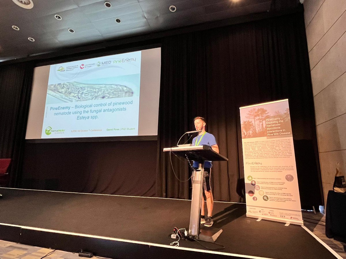 David1822's tweet photo. Presenting at the @IUFROdivision7 meeting in Lisbon! #ForestHealth2022 https://t.co/tLwAG1Yzpy