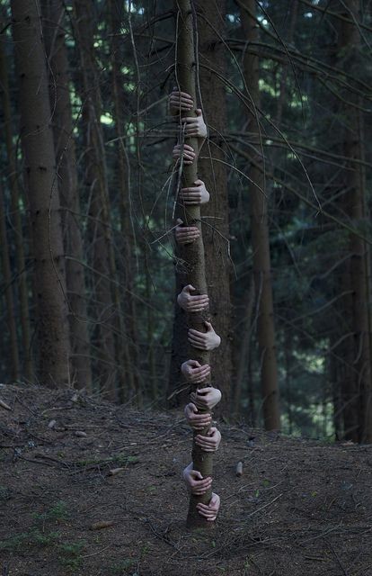 ilyou_8's tweet image. #домвкотором
ральфятник.
#леснойдом