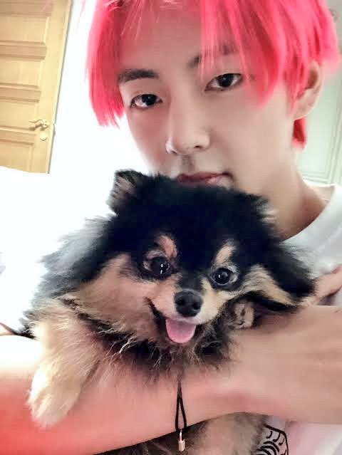 leemin_13's tweet photo. İyki dodun 🥳🥳🥳 https://t.co/HTj26HzvHX