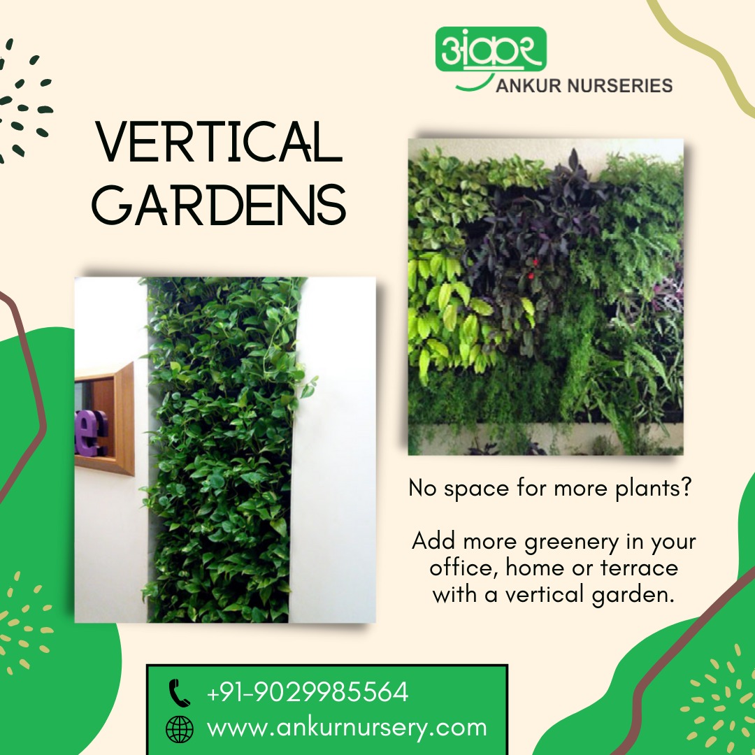 AnkurNurseries's tweet photo. No space for more plants? Add more greenery in your office, home or terrace with a vertical garden.
#ankurnursery #ankurnurseries #indoorplants #airpurifyingplants #officeplants #verticalgarden
#officeinterior #homeinterior
#biowall #greenwall #plantnursery #gardencentre https://t.co/hWVJJO4CQF