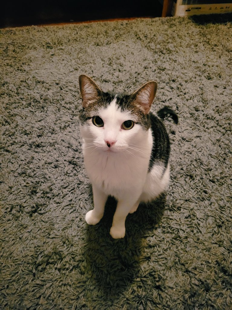 Messy Blessy (she/they) 🏳️‍🌈🏳️‍⚧⚓ tweet media