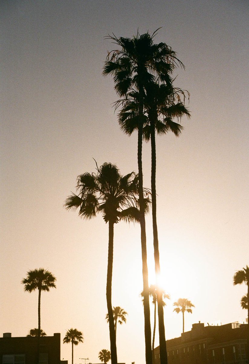 sydneynsmith_'s tweet photo. Good morning☀️
#filmisnotdead https://t.co/CPhJMaGhEC