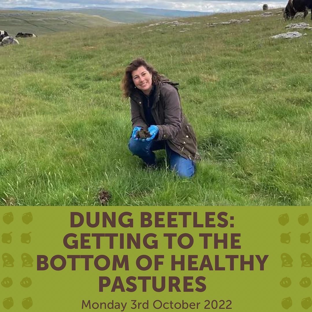 RealFarmED's tweet photo. Did you know dung beetles are in the UK 🪲?

Join us for a one-day deep dive into dung beetles to find out their importance within #ecosystems, what they do for us and what we can do for them.

#dungbeetles #invertebrates #pasturehealth @NECotsCluster @GREATglos @FWAGAssoc https://t.co/ANA2rB88KP