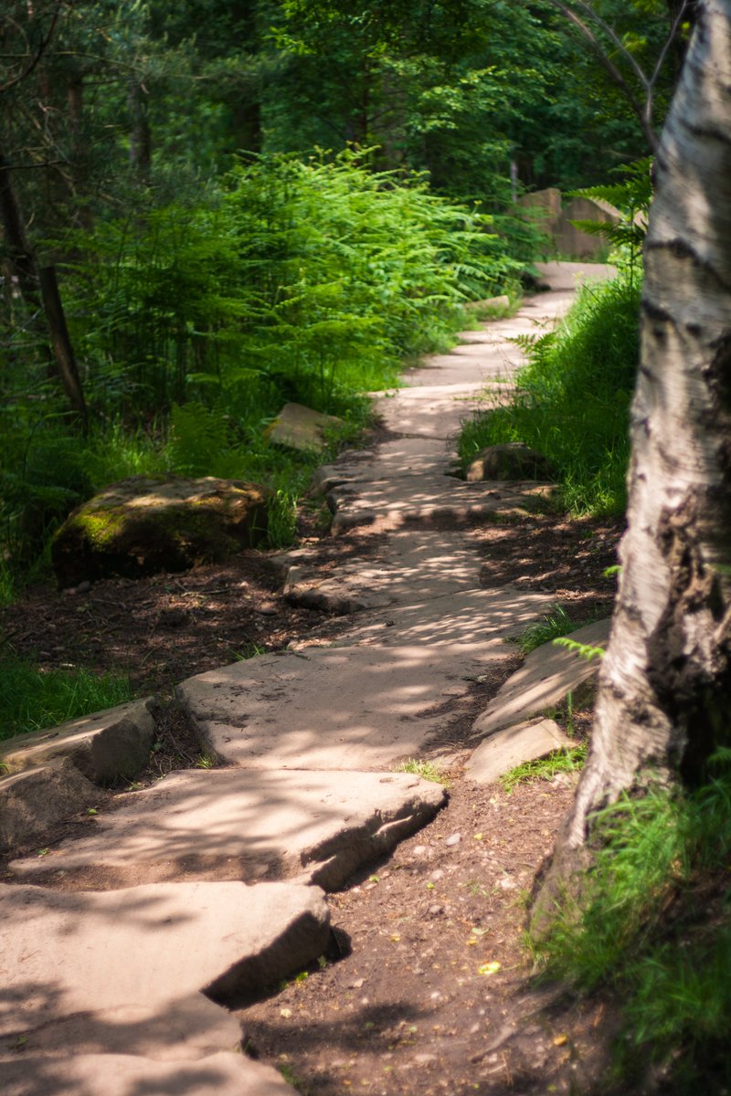 Chase Trails Volunteer Trailbuilders tweet media