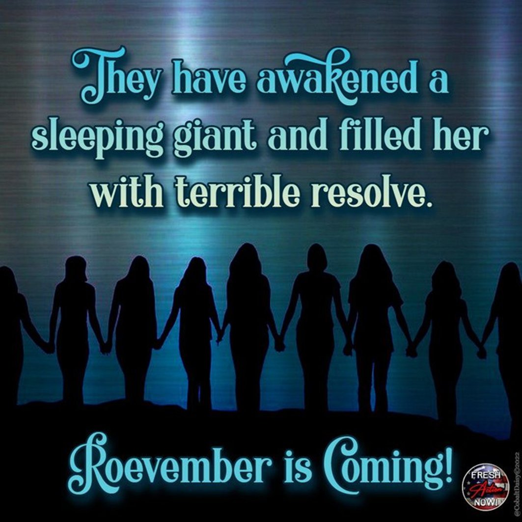 FeistyLibLady's tweet photo. American women don’t like being told that they don’t have a right to bodily autonomy.

On November 8, 2022, American women will make sure the GOP understands we will not go back in time!

#VoteBlue2022
#FreshResists
#ONEV1 https://t.co/hiVf8ljNwW