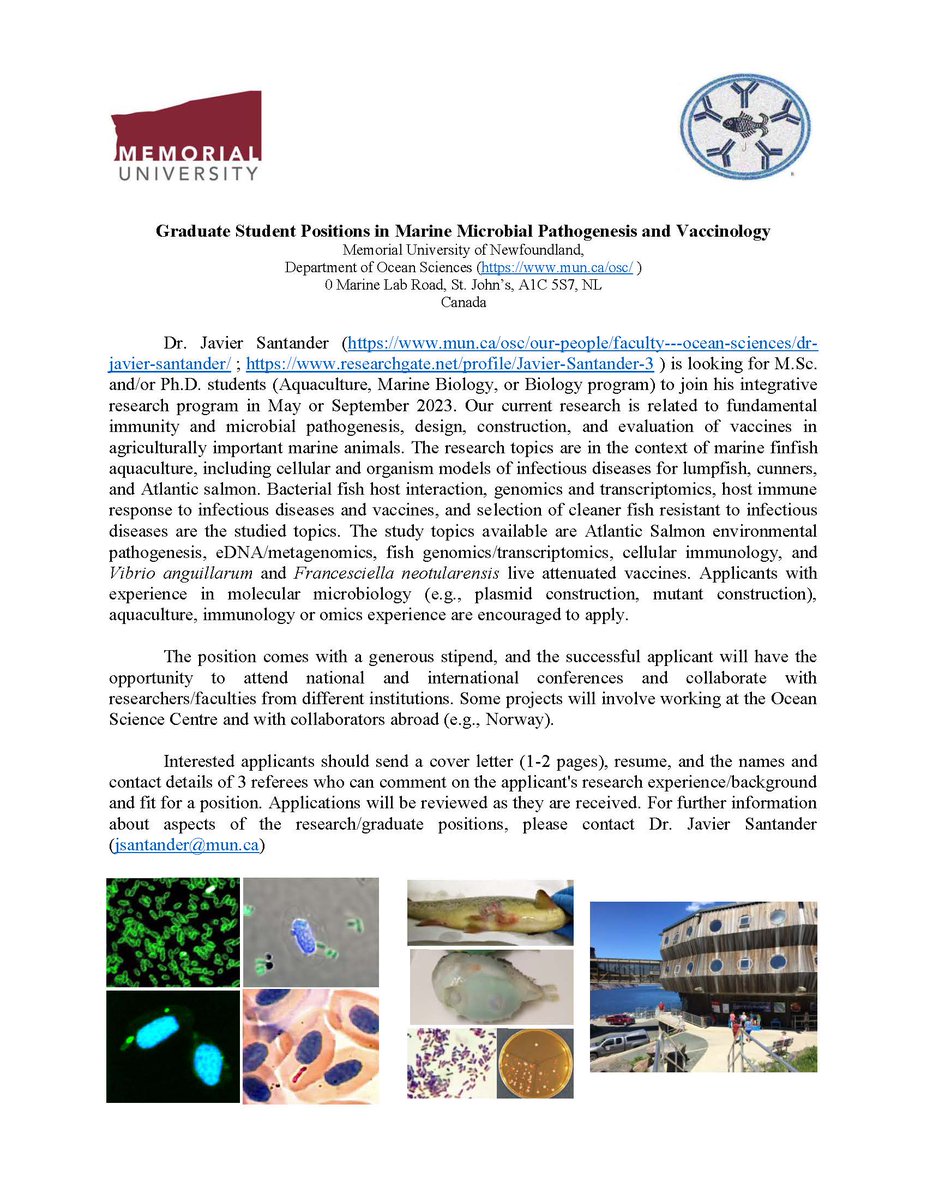 Graduate Student Positions in Marine Microbial Pathogenesis and Vaccinology Ocean Sciences, <a href="/MemorialUSci/">Faculty of Science, Memorial University</a>  <a href="/gradstudies/">GradStudies@MUN</a> 
See job ad below 👇