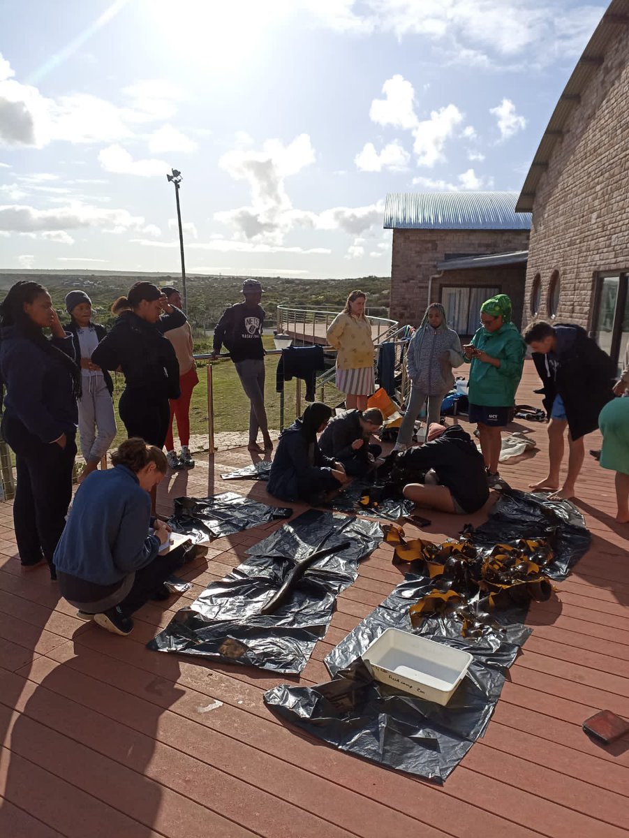 Natasha_Karenyi's tweet photo. Today our @BioSciUCT 2nd year #invertebrate students braved the large swell to try to collect #kelp for their project (safely). Though not successful today they learned how challenging it is to sample in the #marine #subtidal. Well done team!!!! @UCT_news https://t.co/Rs4iKy1wHw
